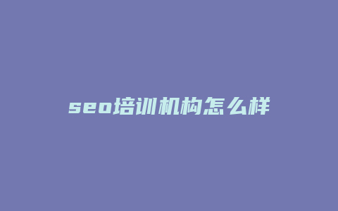 seo培训机构怎么样