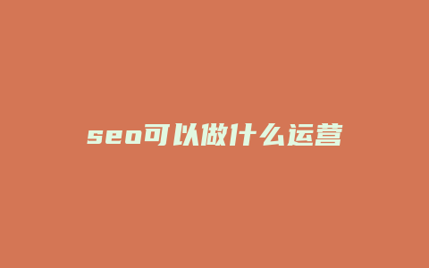 seo可以做什么运营