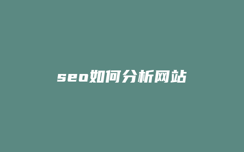 seo如何分析网站