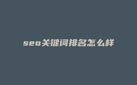 seo关键词排名怎么样
