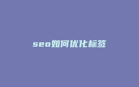 seo如何优化标签