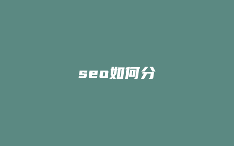 seo如何分