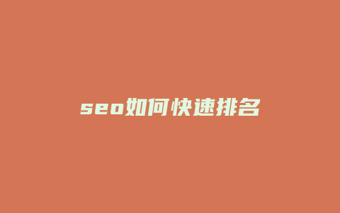 seo如何快速排名