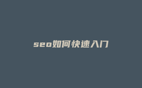 seo如何快速入门