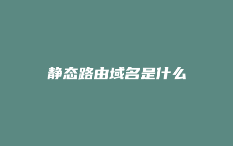 静态路由域名是什么