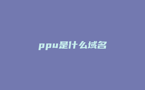 ppu是什么域名