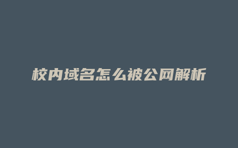 校内域名怎么被公网解析