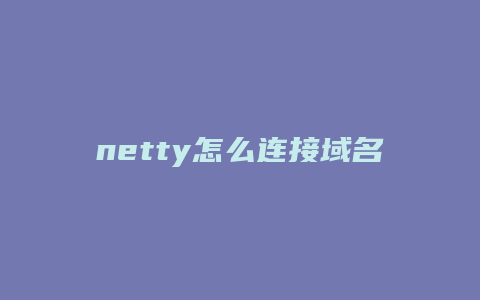 netty怎么连接域名