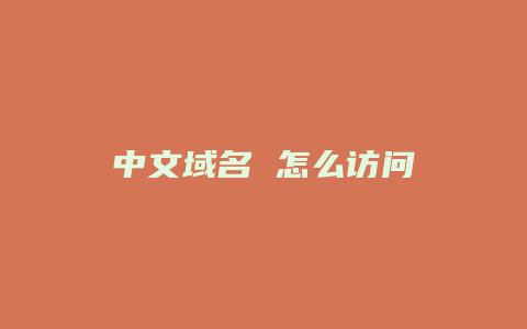 中文域名 怎么访问