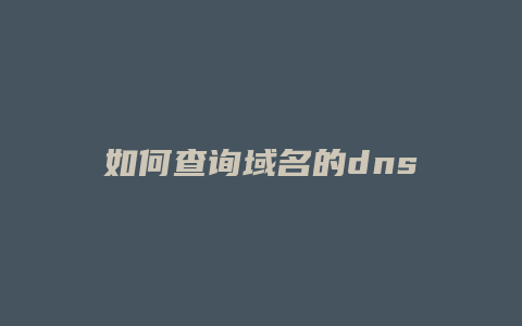 如何查询域名的dns