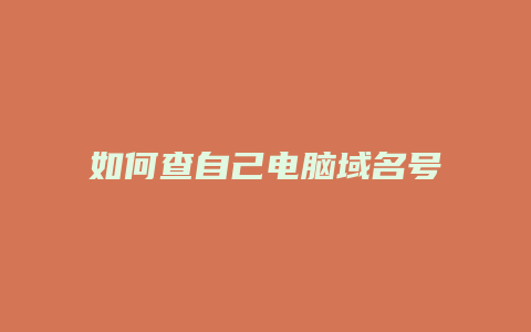 如何查自己电脑域名号