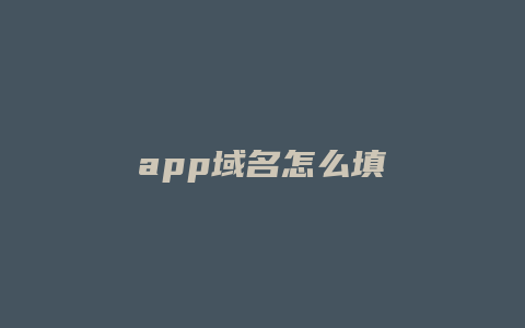 app域名怎么填