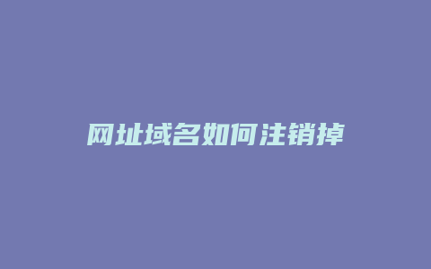 网址域名如何注销掉