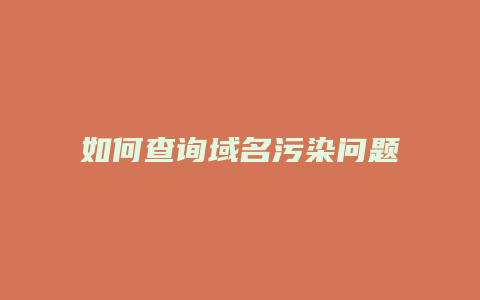 如何查询域名污染问题