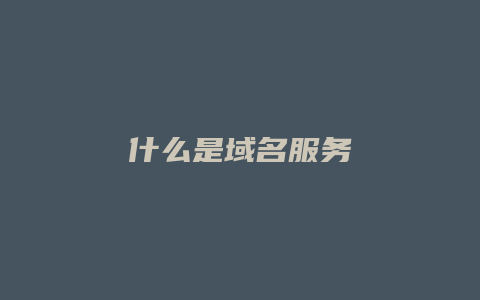 什么是域名服务