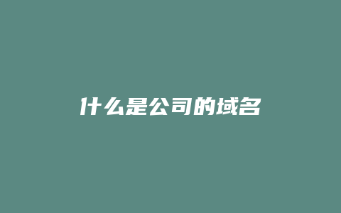 什么是公司的域名