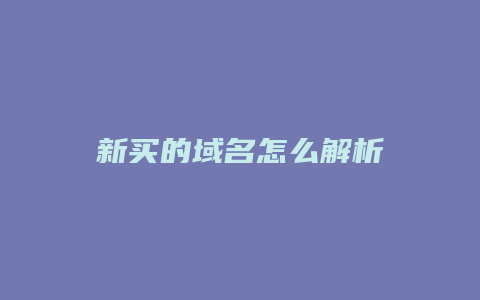 新买的域名怎么解析