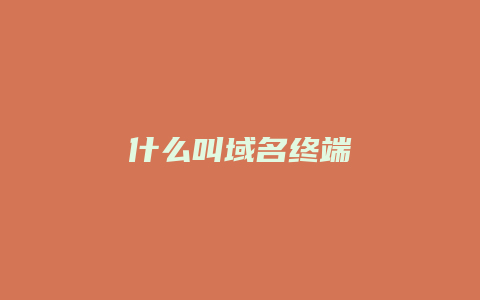 什么叫域名终端
