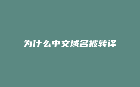 为什么中文域名被转译