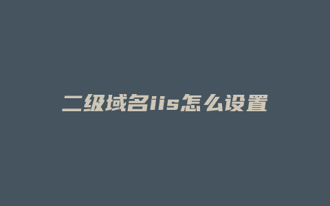 二级域名iis怎么设置