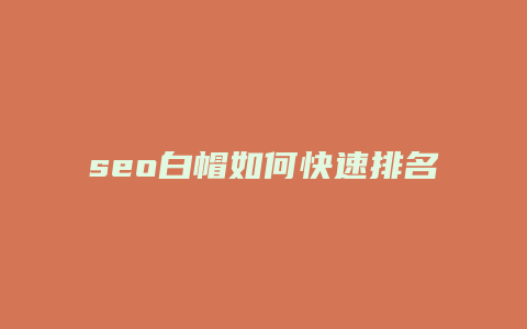seo白帽如何快速排名