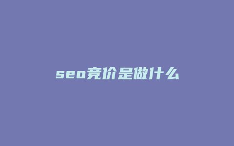 seo竞价是做什么