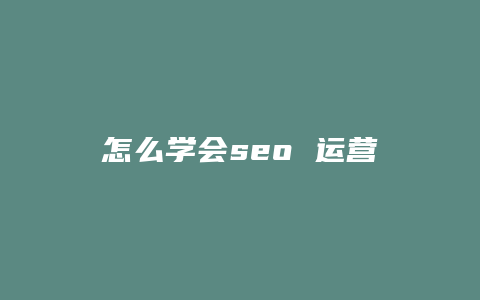 怎么学会seo 运营