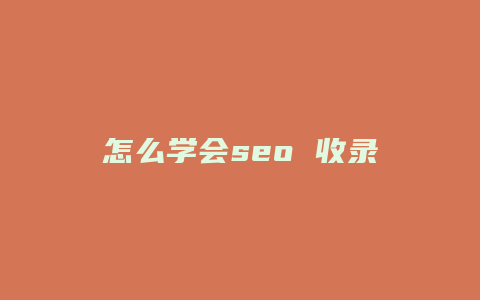 怎么学会seo 收录