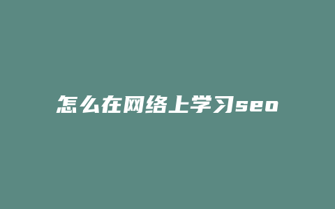 怎么在网络上学习seo