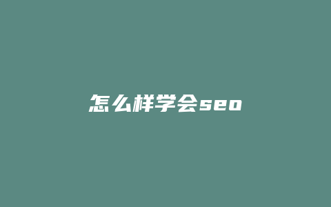 怎么样学会seo