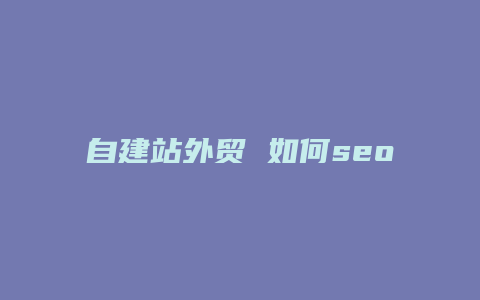 自建站外贸 如何seo