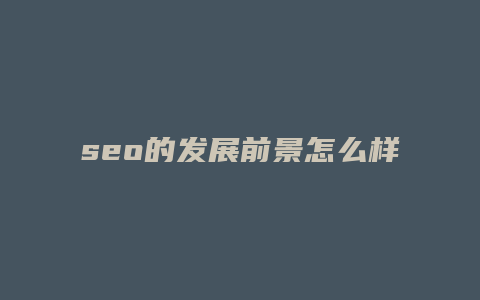 seo的发展前景怎么样