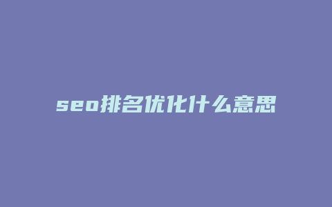 seo排名优化什么意思