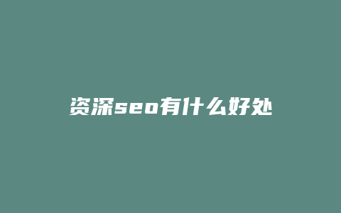 资深seo有什么好处