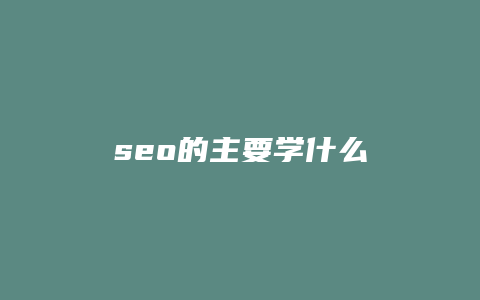 seo的主要学什么