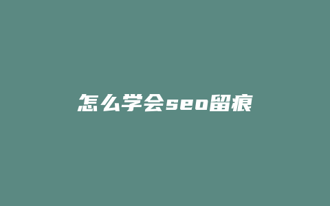 怎么学会seo留痕