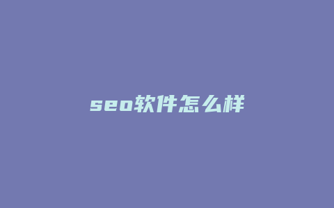 seo软件怎么样