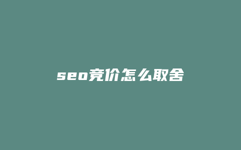 seo竞价怎么取舍