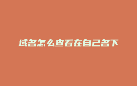 域名怎么查看在自己名下