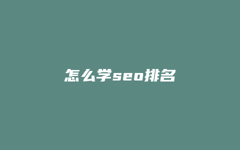 怎么学seo排名