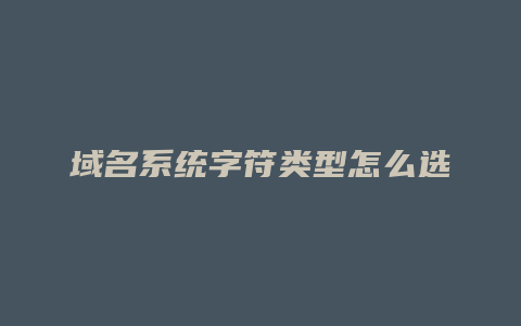 域名系统字符类型怎么选