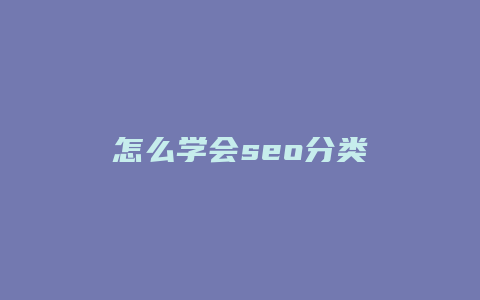怎么学会seo分类